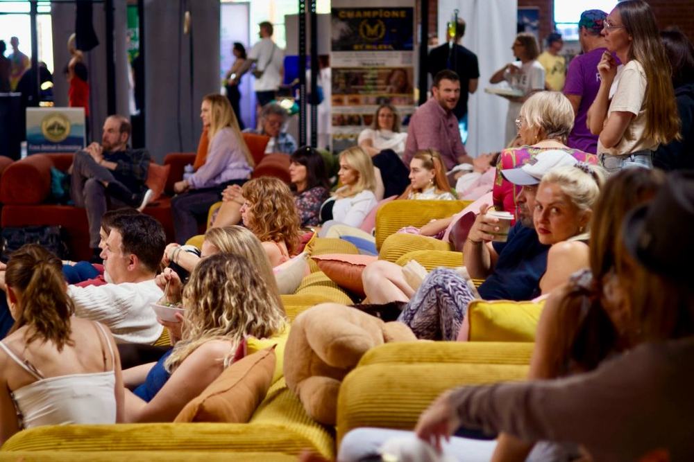 Giraffes on the lounges at a Biohacking Safari