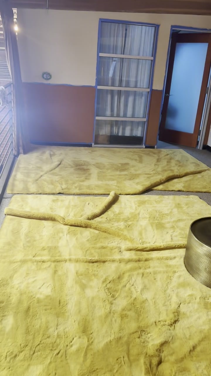 The room with the yellow rug