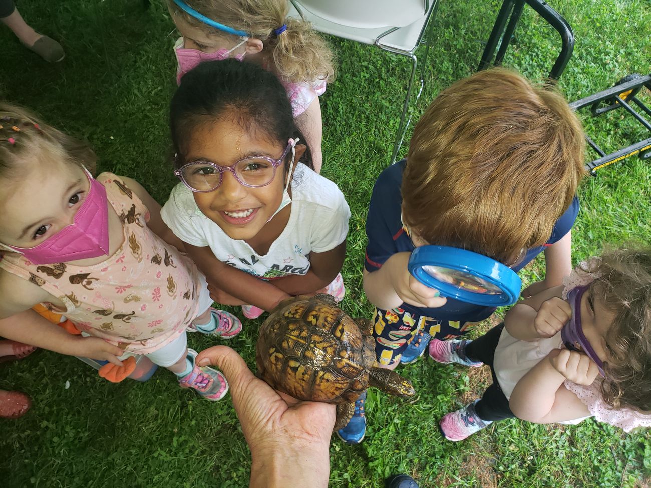 Children with magnifying glasses gathered around a box turtle on the grass
